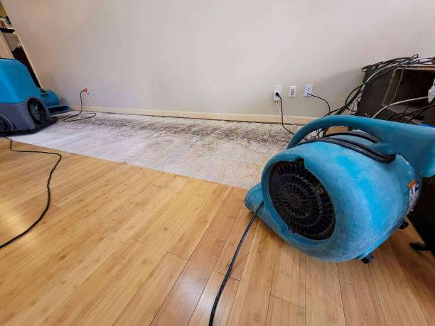 Professional Emergency Water Damage technician working in Pena Blanca, NM